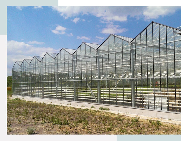 Строительство теплиц в Зима от 614 руб. за м²